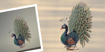 clipping-path-complex-peacock