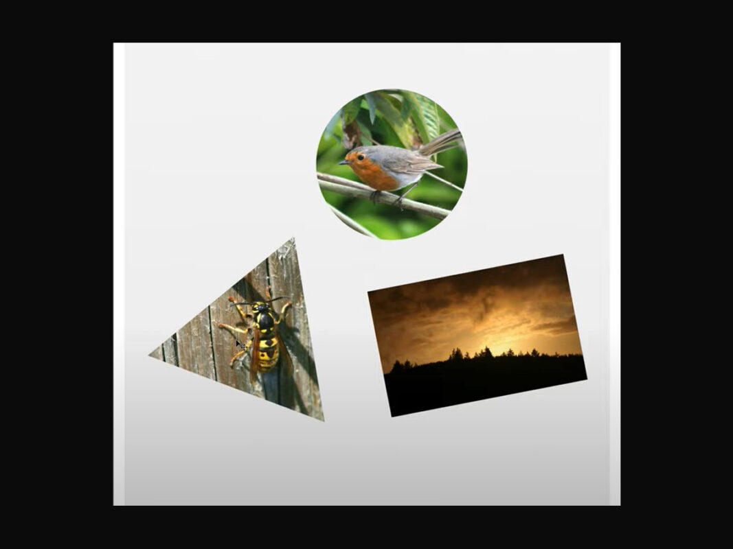 how to make a photo grid in photoshop?