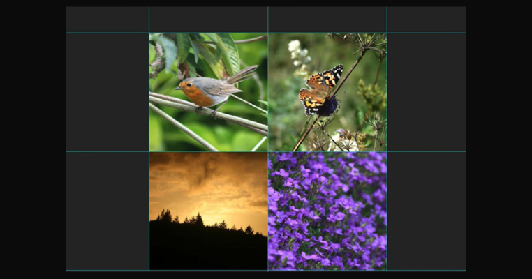 How to Make a Photo Grid in Photoshop | Step-by-Step Guide for Beginners