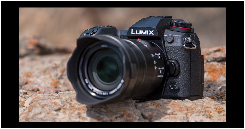 12 Best Cameras For Wildlife Photography In 2025 Top Picks For Every 12 Best Cameras For Wildlife Photography In 2025 Top Picks For Every