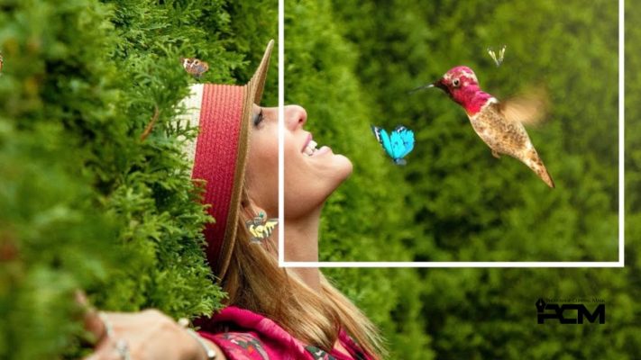 Mastering Motion Photography for Beginners 